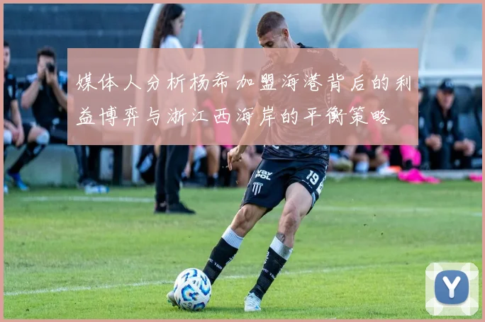 媒体人分析杨希加盟海港背后的利益博弈与浙江西海岸的平衡策略